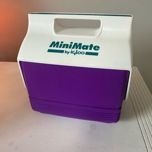 Purple and Teal Igloo MiniMate Cooler 90s Vintage